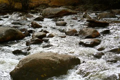 Rmnp  - 115 写真素材