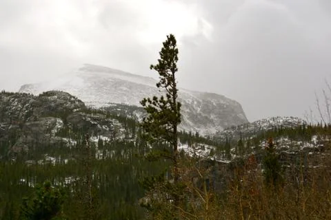 Rmnp  - 142 Stock Photos