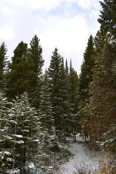 Rmnp  - 149 写真素材