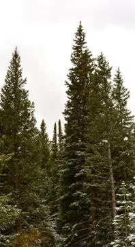 Rmnp  - 162 写真素材