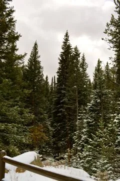 Rmnp  - 164 Fotos Stock