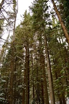 Rmnp  - 179 写真素材