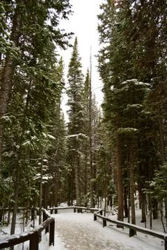 Rmnp  - 196 写真素材