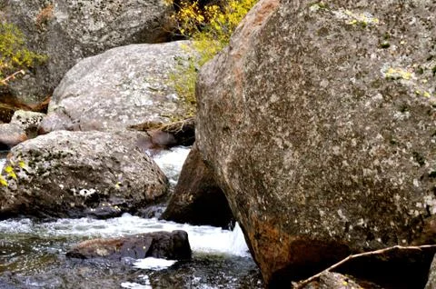 Rmnp 2 - 237 Фото