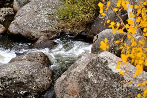 Rmnp 2 - 320 Stock Photos