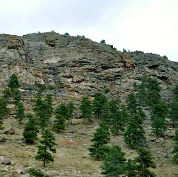 Rmnp 2 - 392 Stock Photos