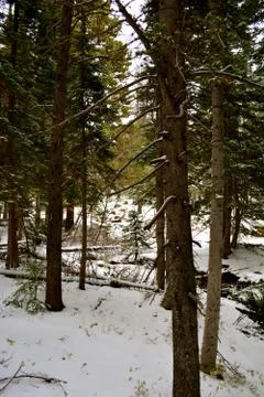 Rmnp  - 204 写真素材