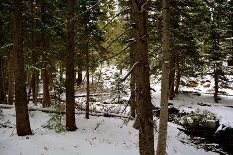 Rmnp  - 207 写真素材