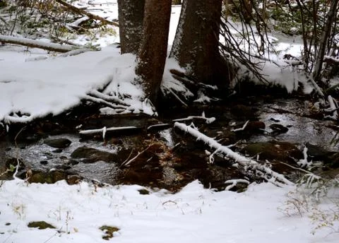 Rmnp  - 211 写真素材