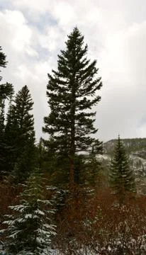 Rmnp  - 227 Photos