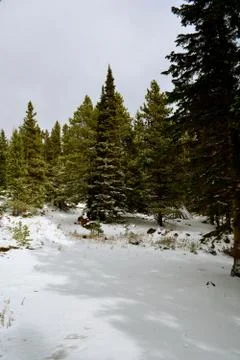 Rmnp  - 241 Stock Photos