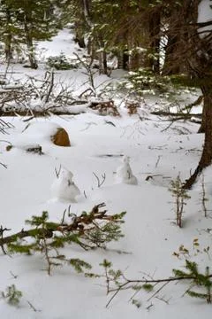 Rmnp  - 256 写真素材
