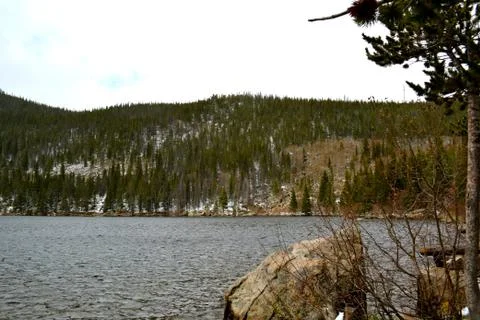 Rmnp  - 314 스톡 사진