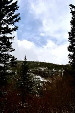 Rmnp  - 341 写真素材