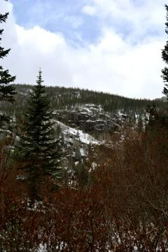 Rmnp  - 344 Stock Photos