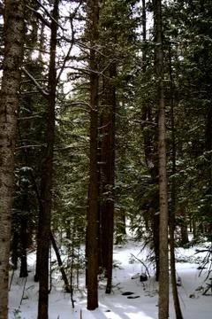 Rmnp  - 362 스톡 사진