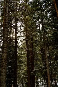 Rmnp  - 367 Fotos Stock