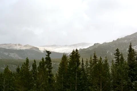Rmnp  - 377 写真素材