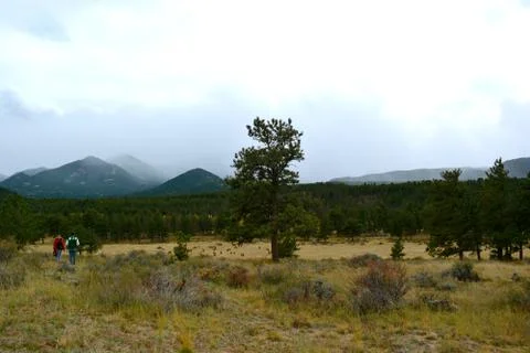 Rmnp  - 381 Fotos Stock