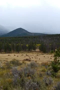 Rmnp  - 394 写真素材
