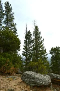 Rmnp  - 424 写真素材