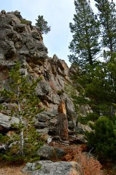 Rmnp  - 439 스톡 사진