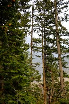 Rmnp  - 524 Photos