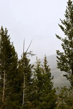 Rmnp  - 543 Photos