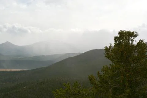 Rmnp  - 616 写真素材