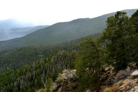 Rmnp  - 635 Photos