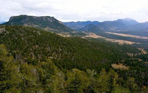 Rmnp  - 657 写真素材