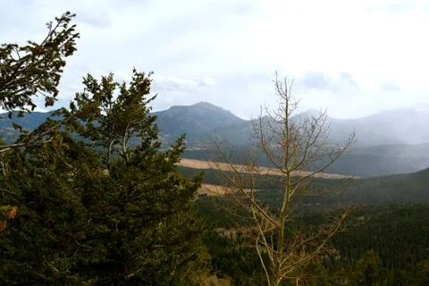 Rmnp  - 669 Stockfoto's