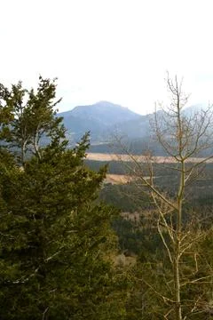 Rmnp  - 672 写真素材