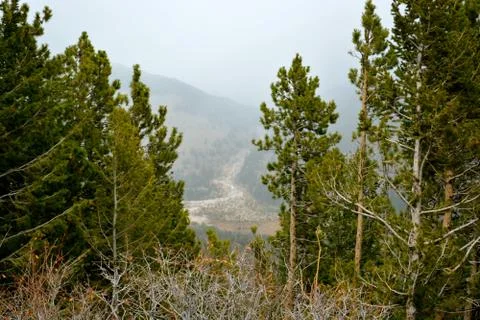 Rmnp  - 720 写真素材