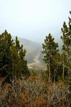 Rmnp  - 722 写真素材