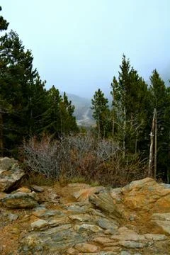 Rmnp  - 724 写真素材