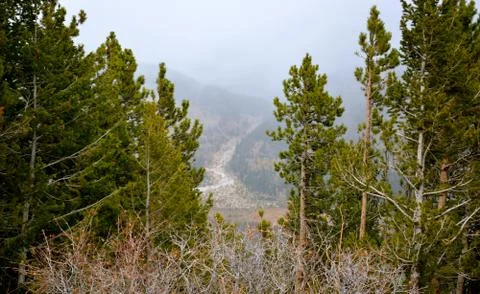 Rmnp  - 744 写真素材