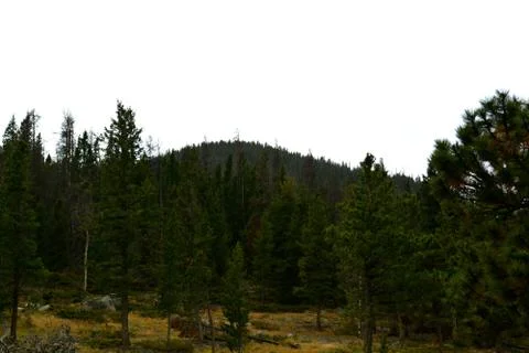 Rmnp  - 746 Fotos Stock