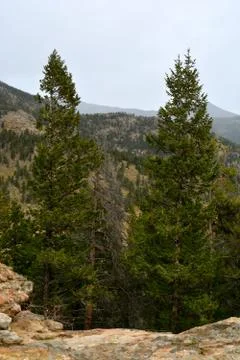 Rmnp  - 774 Stock Photos