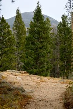 Rmnp  - 776 Stock Photos