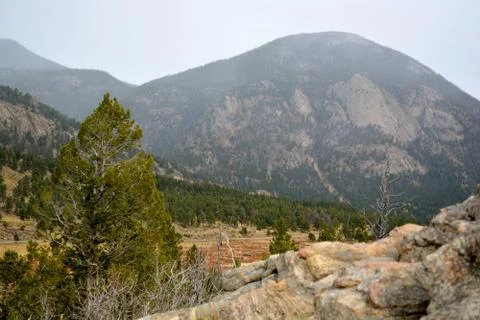 Rmnp  - 780 Fotos Stock
