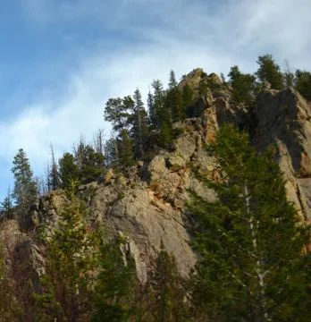 Rmnp  - 812 写真素材