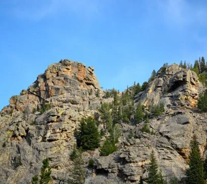Rmnp  - 815 Stock Photos