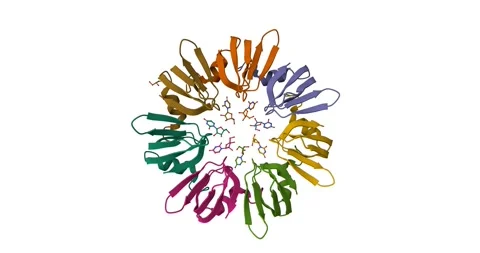 RNA Binding Protein – Beta Strand Spin on White 스톡 동영상 307443389