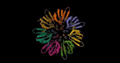 RNA Binding Protein – Beta Strands Structure Spin 스톡 동영상 307443225