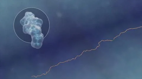 RNA in Disease and development Stock Illustration