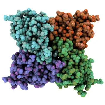 Rna-editing enzyme, molecular model Stock Illustration