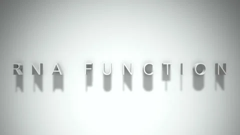 Rna function 3D title animation with shadows on a white background 스톡 동영상 298000824