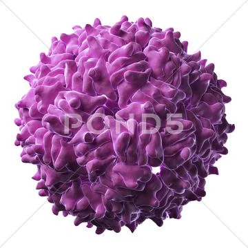 Rna hairpin virus particle Stock Illustration