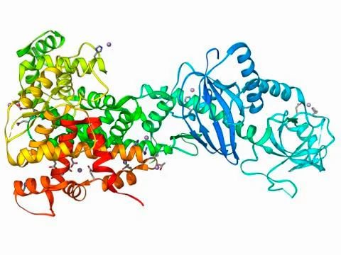 RNA interference protein, molecular model Stock Illustration